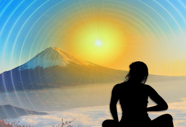 Look Like Fred Ltd "A Bug Free Mind" Salto