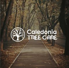 Caledonia Tree Care'