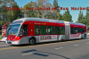 Global Articulated Bus Market'