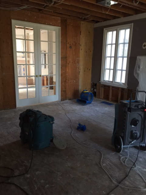 Los Angeles Plumber White Glove 4