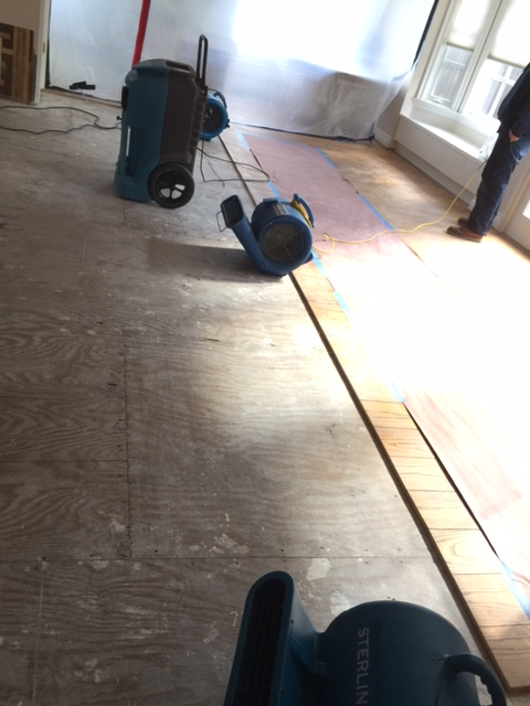 Los Angeles Plumber White Glove 5