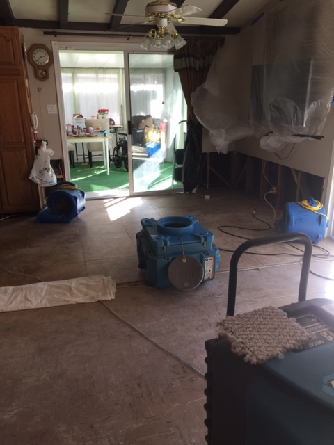 Los Angeles Plumber White Glove 6