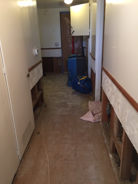 Los Angeles Plumber White Glove 8