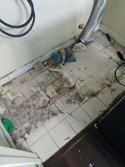 Los Angeles Plumber White Glove 10