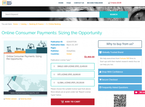 Online Consumer Payments: Sizing the Opportunity'