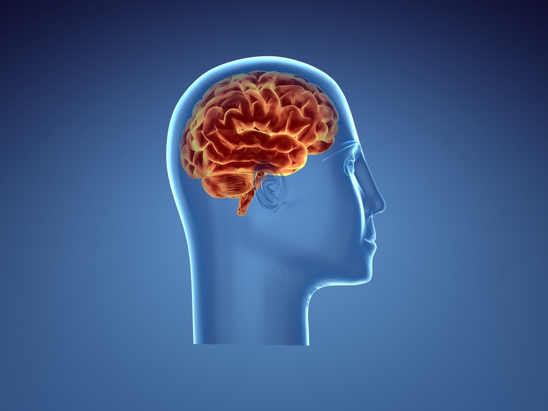 The British CBT & Counselling Service