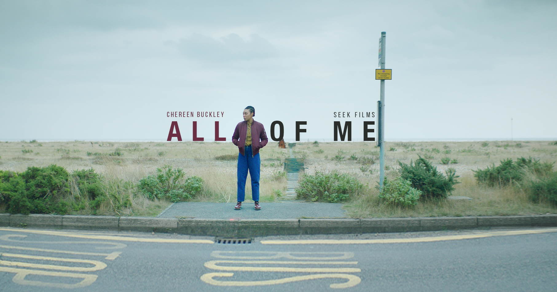 All of Me Poster