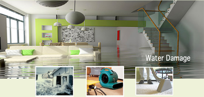 Carpet Cleaning Flood Damage Melbourne'