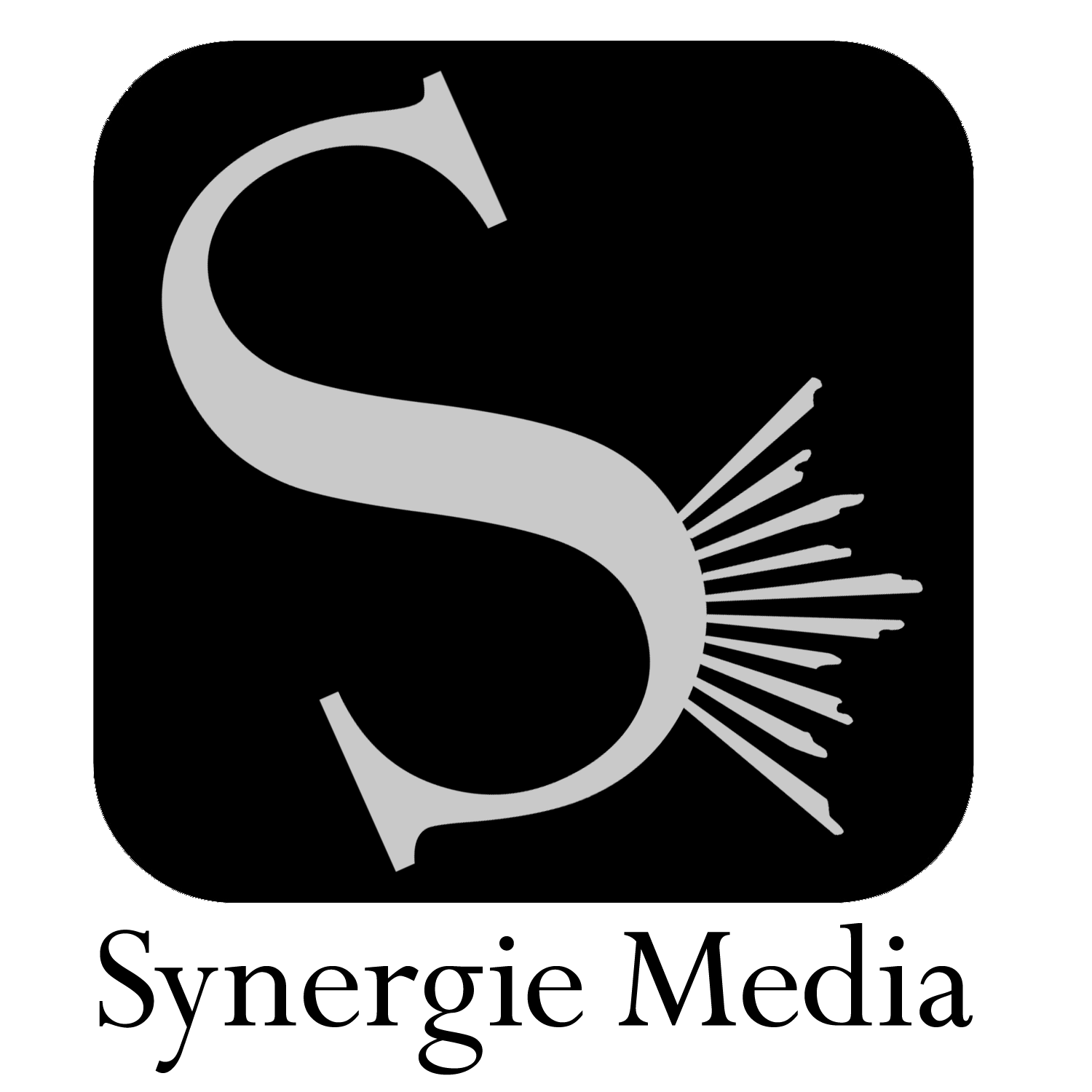 Synergie Media, Inc. Logo