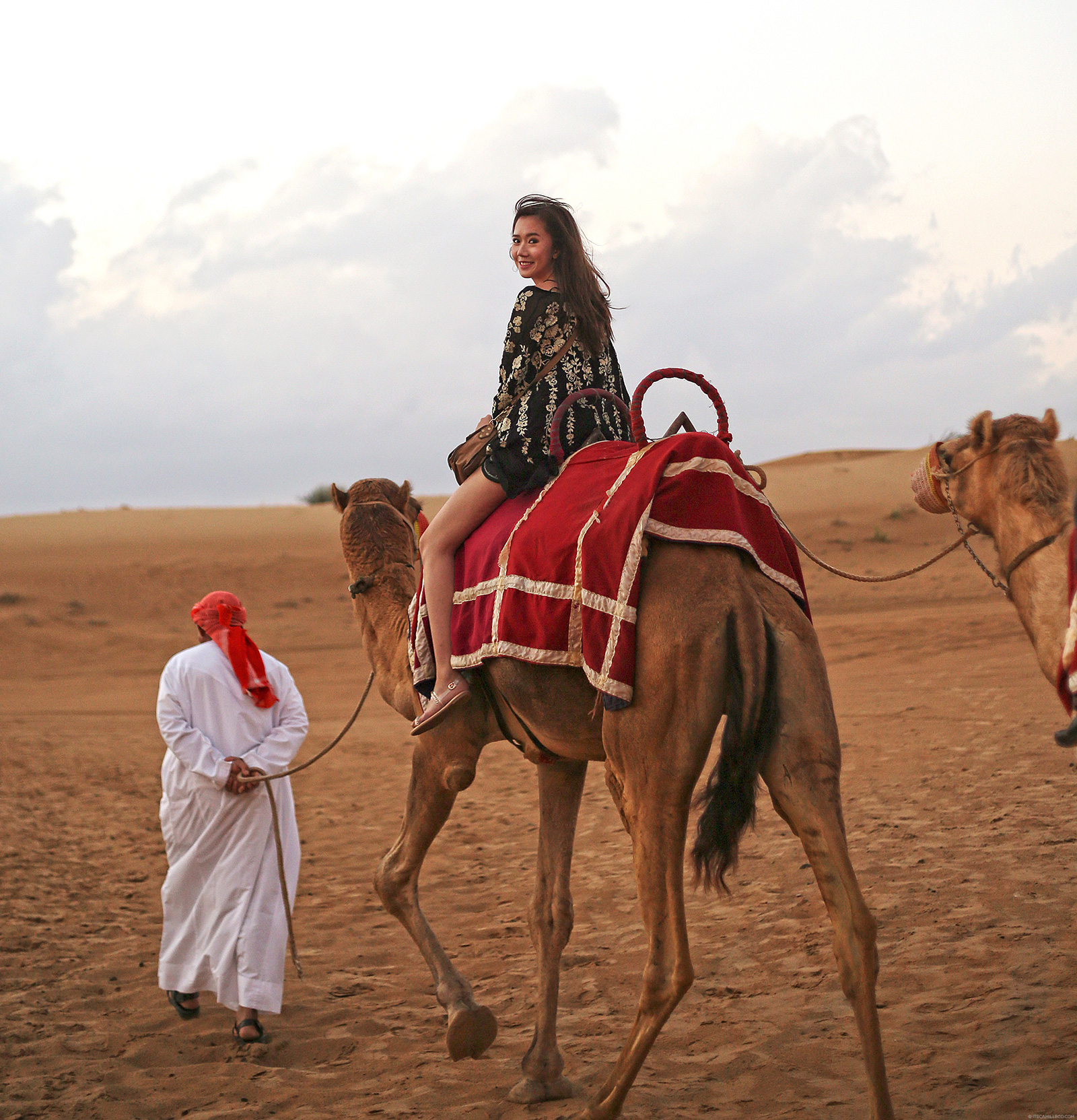 Desert Safari Dubai'