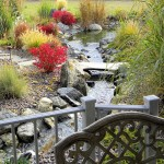 Rock Solid Landscapes transforms Colorado backyards
