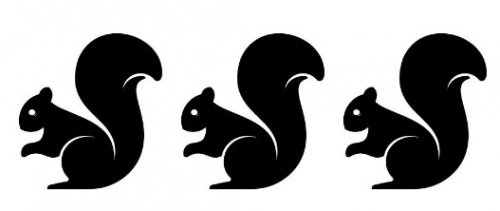 The Three Squirrels'