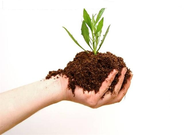 Biopesticides Market