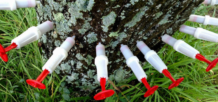 ChemJetTreeInjector.com