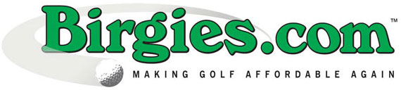 Birgies Logo'
