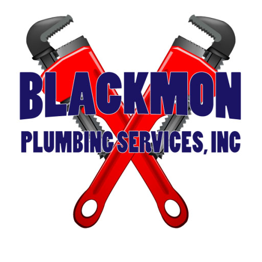 Company Logo For Btown Plumber'