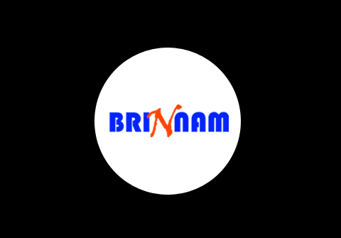 Company Logo For Brinnam'