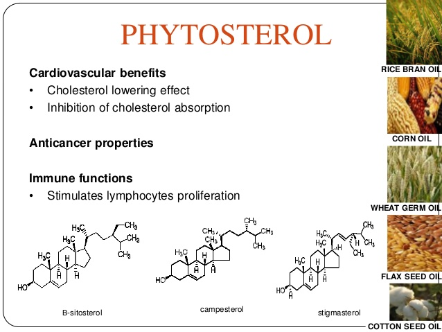 Phytosterols Market'