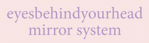 Company Logo For EyesBehindYourHead Mirror System'