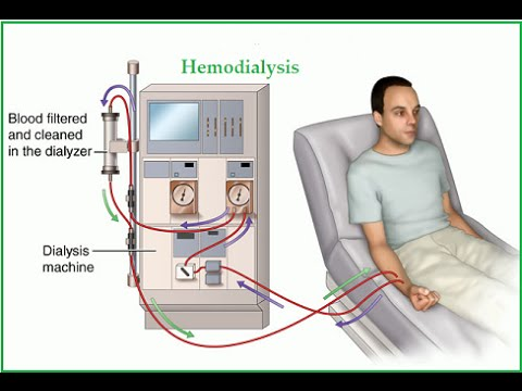 Dialysis Market'