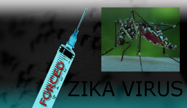 Zika Virus Vaccines Market