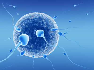 Europe In Vitro Fertilization (IVF) Market'