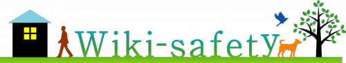 Logo of Wiki-safety'