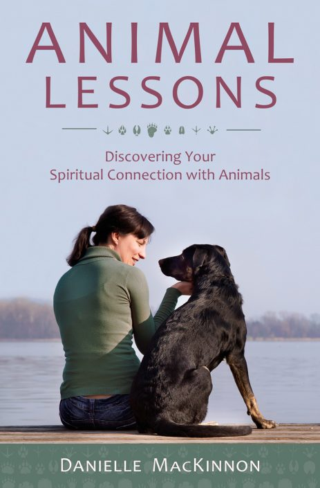 Animal Lessons by Danielle MacKinnon'