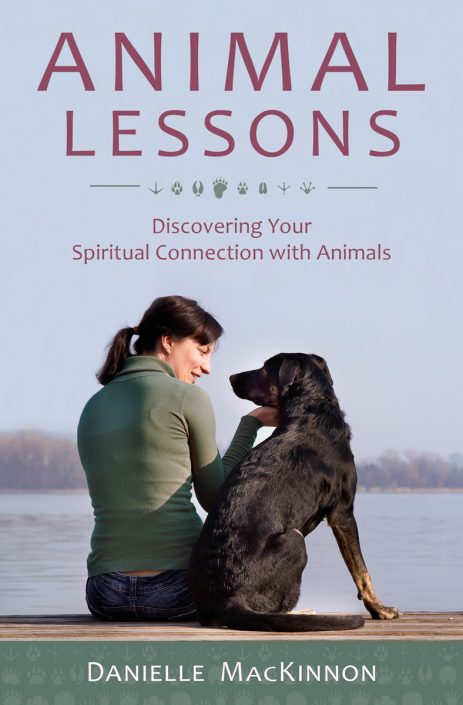 Animal Lessons by Danielle MacKinnon