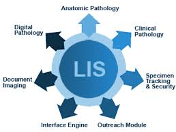 North American Laboratory Information System (LIS) Market'