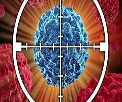 Small Molecule Targeted Cancer Therapy Market'