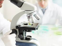 Europe Dermatology Diagnostic Devices Market