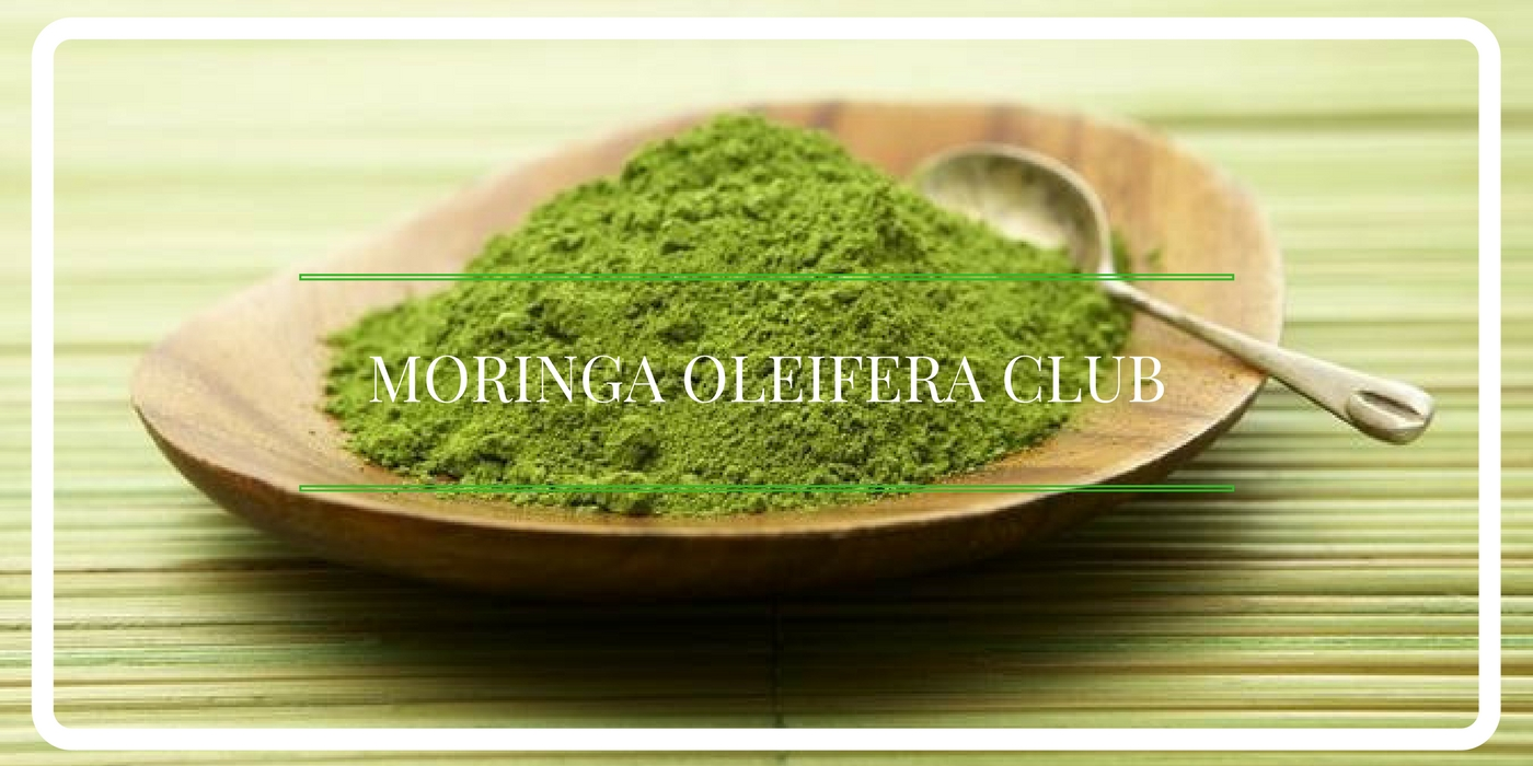 Moringa Oleifera Club'