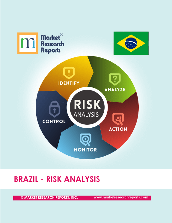 Brazil Risk Analysis Market Research Report