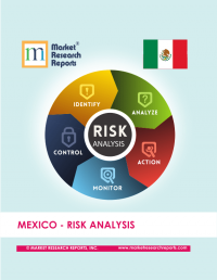 Mexico Risk Analysis Market Research Report