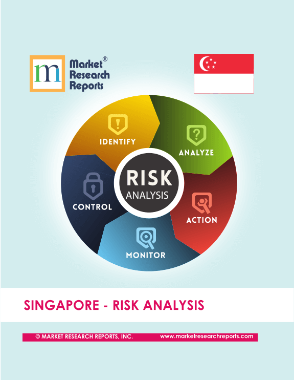 Singapore Risk Analysis Market Research Report