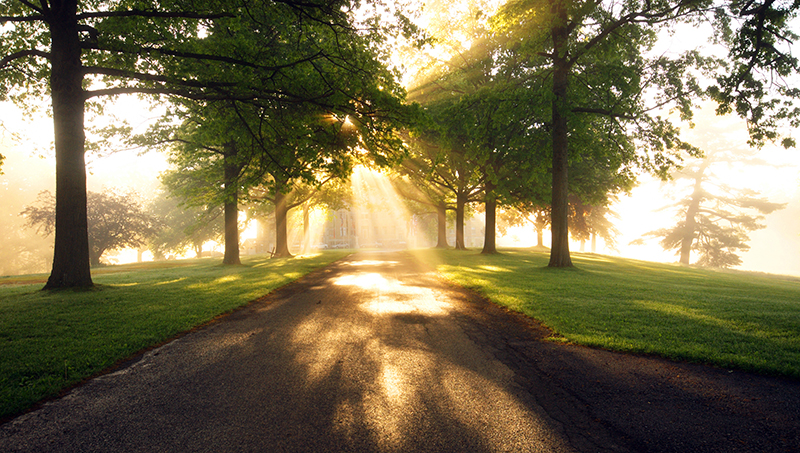 Holy Mountain Buddha Land