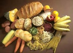 Are Carbohydrates to be Blamed for Obesity?'