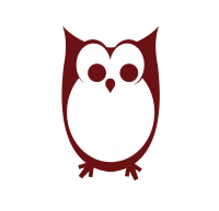 Digital Owl Group Logo