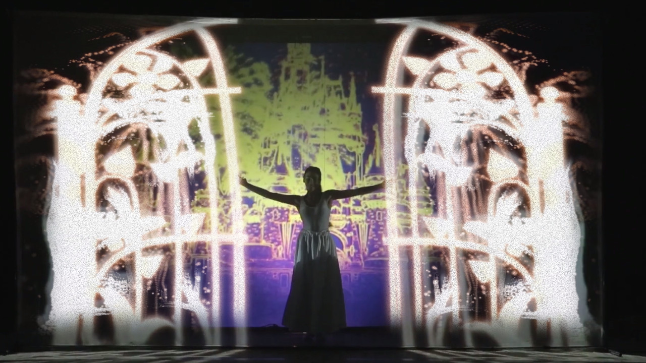 Shadow theatre Delight - Cinderella 3d show'