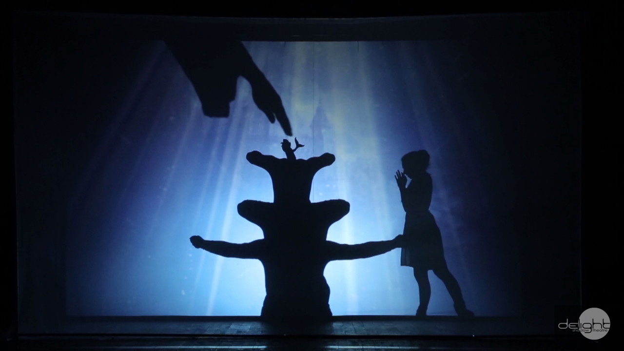 Shadow theatre Delight - Cinderella 3d show