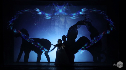 Shadow theatre Delight - Cinderella 3d show'