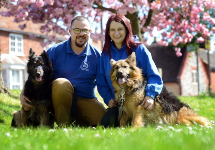 Dog Training Ireland