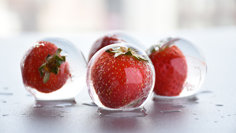 Polar Ice Ball 2.0 03