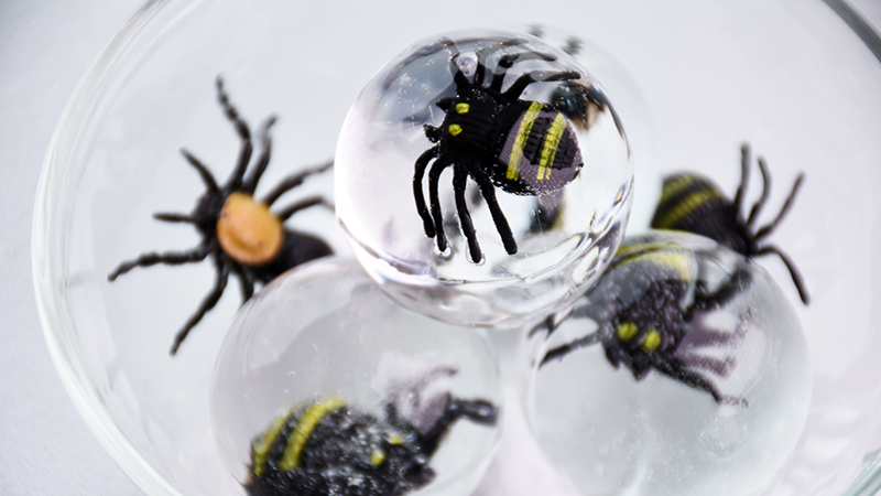 Polar Ice Ball 2.0 07