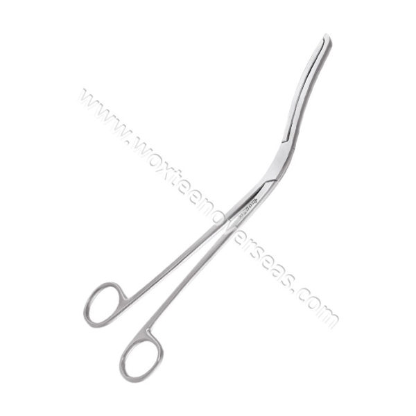 Buy Chital Forceps