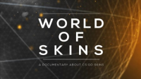 World of Skins
