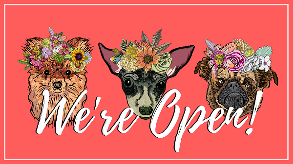 Green Butterfly Brands