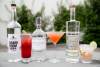 Summer Specialty Cocktails'