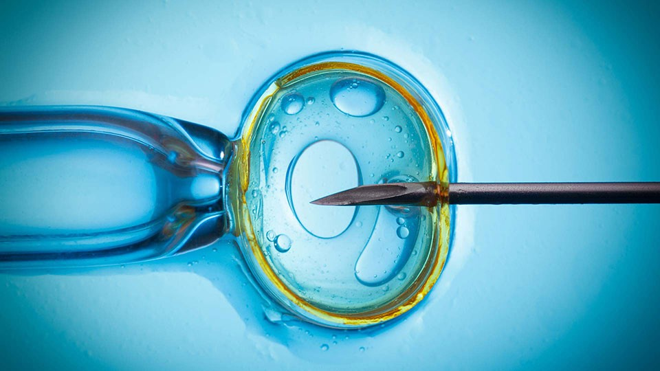 In Vitro Fertilization Devices & Consumables Market
